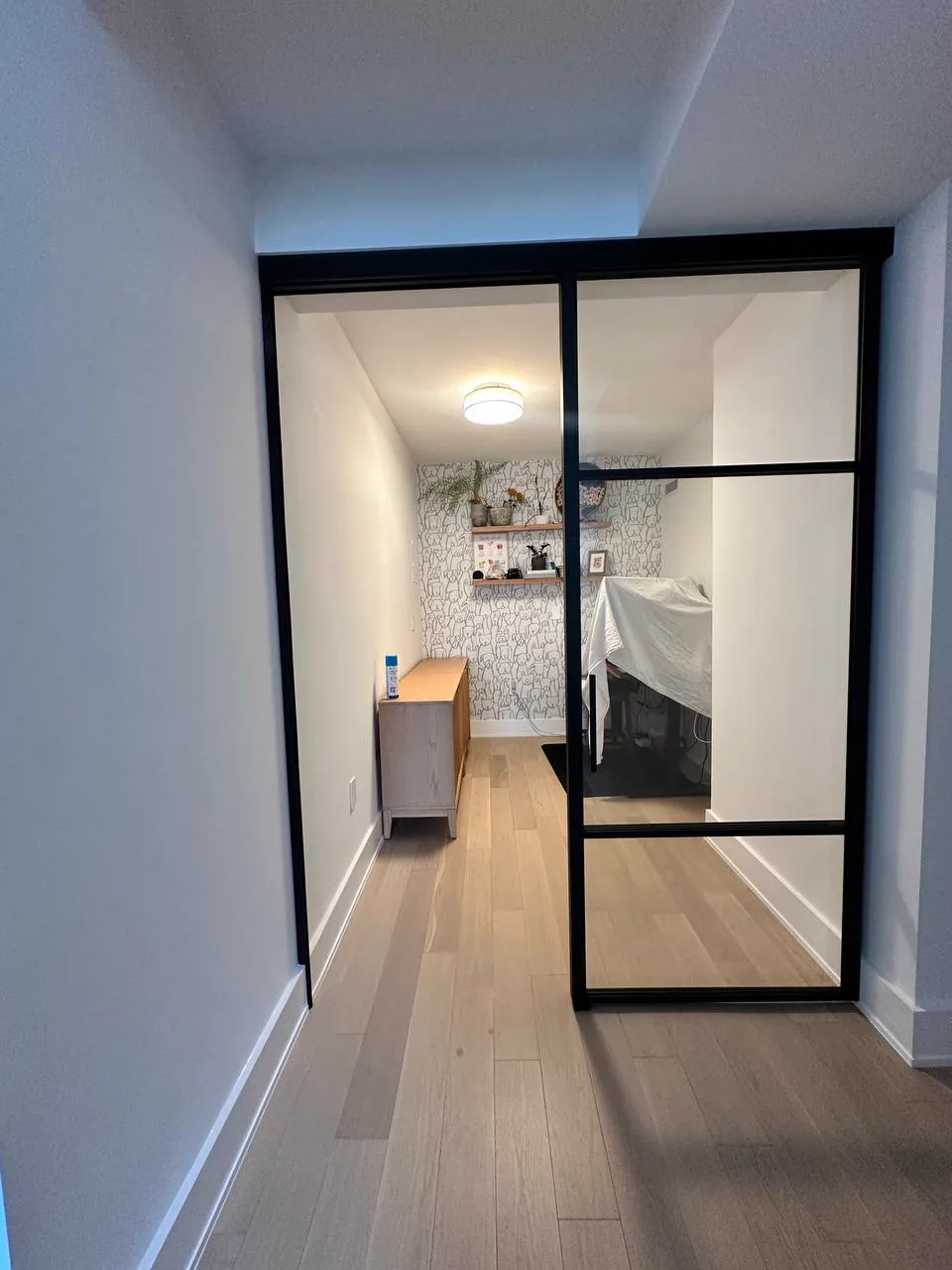 Single top-hung sliding glass door with a black frame open across a hallway wall
